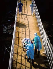 疫情三年,守得云开见月明2