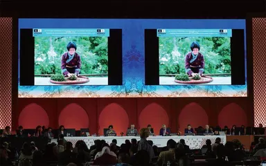 中国茶申遗,这样完成拼图1