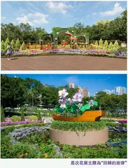 主題花展為澳門回歸祖國25周年獻上祝福