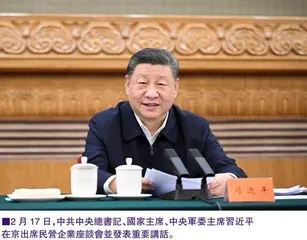 習近平:民營經濟發展前景廣闊大有可為民營企業和民營企業家大顯身手正當其時