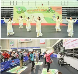 全澳長者運動日展體育風采