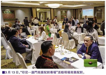 澳琴首次攜手組團“出海”招商