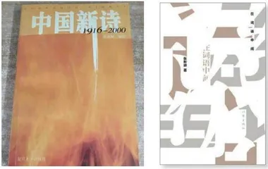 诗歌重回C位?1