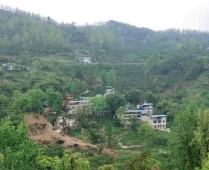 义和村的田园梦,这样实现1