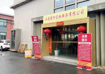 买到“星期宠”售后无门,宠物经济“水太深”1