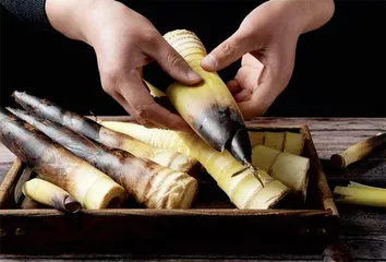 美食江南:从春馔开始,全面“卷”起来2