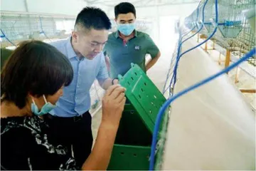 果蔬稻米香,千年古城换新貌3