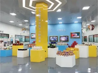 果蔬稻米香,千年古城换新貌4