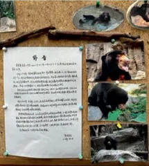 在红山,人类重新认识动物园2