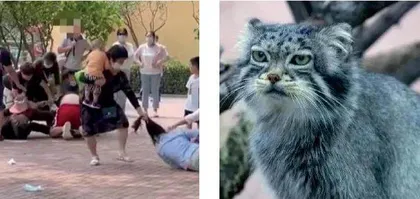 传统动物园过时了吗?1