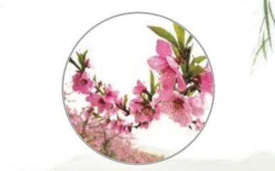 但是还有诗歌1