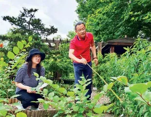 “一把大剪刀走天下”成历史,园林绿化如何吸引更多年轻人?1