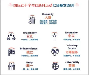 红十字事业,崇高而伟大3