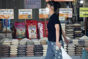 全球粮食危机加剧:超24亿人将饿肚子?2