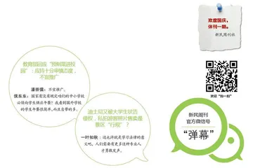 “好玩”和“意义”两不耽误(2023年 第36期)1