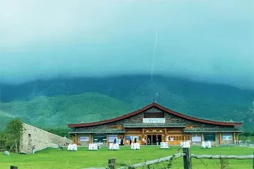 上海对口帮扶新课题:让乡村“丰满”起来1