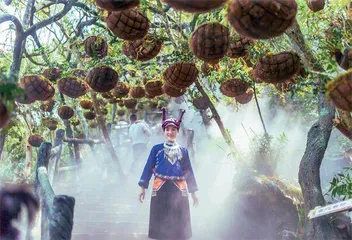 上海对口帮扶新课题:让乡村“丰满”起来2