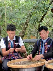 他们,为何去做“乡村新人”?3
