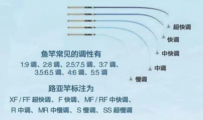 假饵钓真鱼,路亚新手指南2