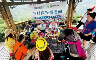 广西:“桂惠贷”引来金融“活水”1