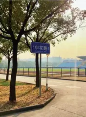 申城之花将更灿烂1