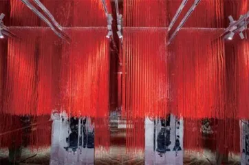 这个“上海第一”,美得传奇2