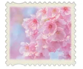 樱花与核酸