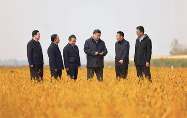 种豆得豆,国家战略2