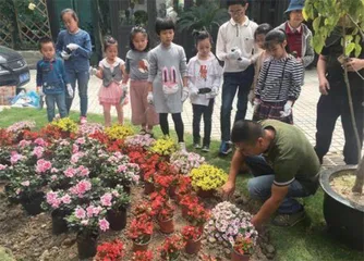 重新认识居委会2