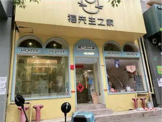 宠物馆老板：封控后我住进了宠物馆，很多人却不理解