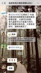 八旬老人的女儿:我潜入了可能是上海最大楼组的买菜群2