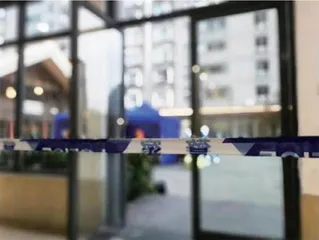广告设计师：“72家房客”的团结自治惊到了我