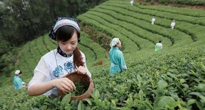 上海—夷陵三十年深情故事5