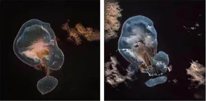 莫塞:元宇宙岛居,一种文明重构1