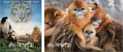 这个蓝色星球,绝非人类独享1