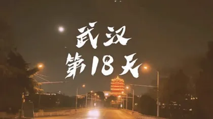 镜头中的武汉这一年3