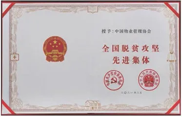 以易居的方式,让乡村更美好1