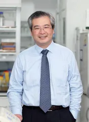 从鼠到猪再到人,脑机接口正在打开人类脑洞2