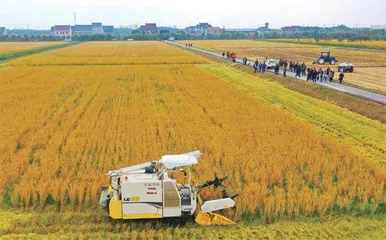专家建言崇明要做中国绿色发展领头羊2