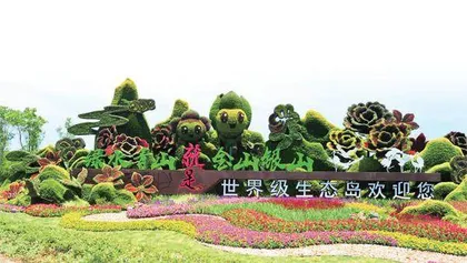 “花博机遇”的前与后3