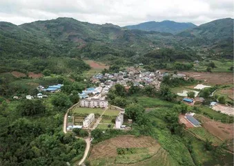 大象,何以为家1