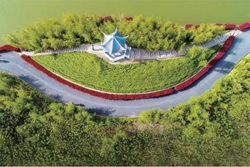 横沙:幸福感满满的低碳生态岛5