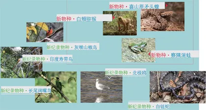 这些宝贝2