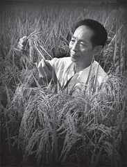 “无双国士”袁隆平的另一面