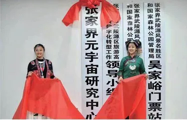 元宇宙,风口还是虎口?1
