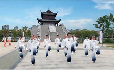 盈浦:百年老城厢,江南新天地1