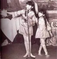 狮子山下:香港演艺圈的面子与里子1