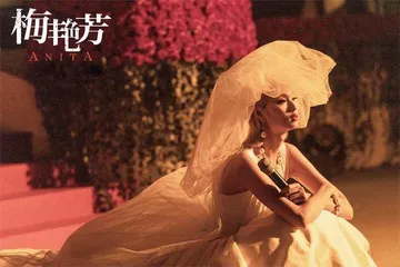 狮子山下:香港演艺圈的面子与里子2
