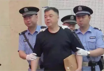 官商勾结,难逃法网恢恢3