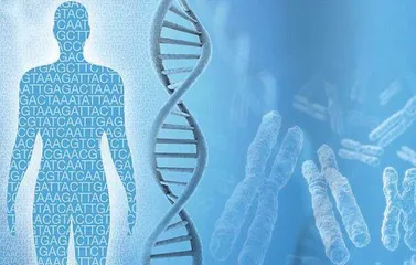 人类基因组 生物学的重大突破1